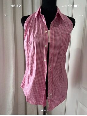 Polo by Ralph Lauren Pink Gingham Sleeveless Button-Up Blouse